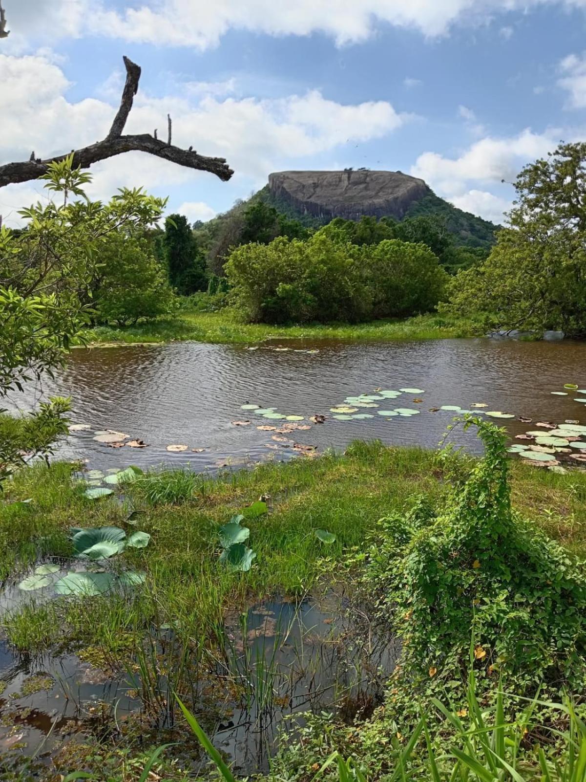 Inn Kings Village Sigiriya